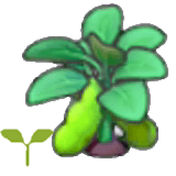 Bean sprout item in Pokémon Pokopia