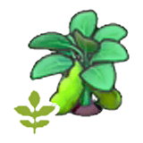Blooming bean plant item in Pokémon Pokopia