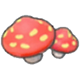 Cave mushrooms