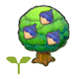 Chesto tree sapling item in Pokémon Pokopia