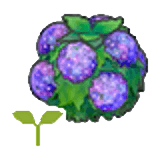 Damp hedge sapling item in Pokémon Pokopia