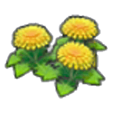Dandy flowers