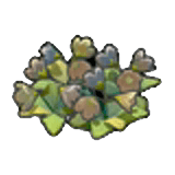 Dry wildflowers item in Pokémon Pokopia