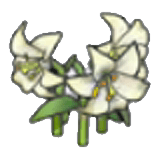 Elegant flower item in Pokémon Pokopia