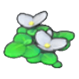 Flowering Duckweed item in Pokémon Pokopia
