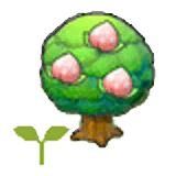Pecha tree sapling item in Pokémon Pokopia
