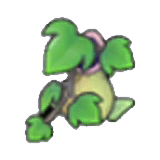Pitcher-plant pot