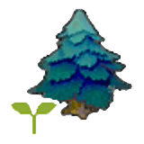Pointy tree sapling item in Pokémon Pokopia