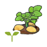 Potato sprout item in Pokémon Pokopia