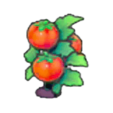 Ripe Tomato plant item in Pokémon Pokopia