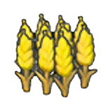 Ripe wheat item in Pokémon Pokopia