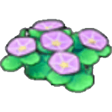 Seashore flowers