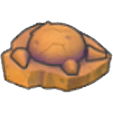 Skull Fossil