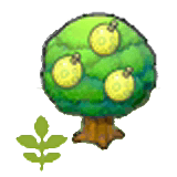 Small Aspear tree item in Pokémon Pokopia