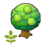 Small Lum tree item in Pokémon Pokopia