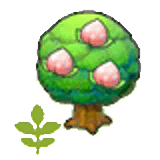 Small Pecha tree item in Pokémon Pokopia