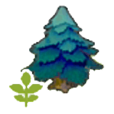 Small pointy tree item in Pokémon Pokopia