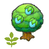 Small Rawst tree item in Pokémon Pokopia