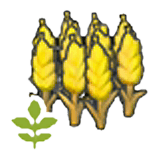 Small wheat plant item in Pokémon Pokopia