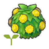 Stylish hedge sapling item in Pokémon Pokopia